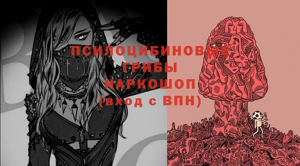 2c-b Зеленодольск