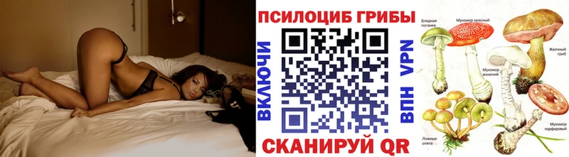 Псилоцибиновые грибы мицелий  Сычёвка 